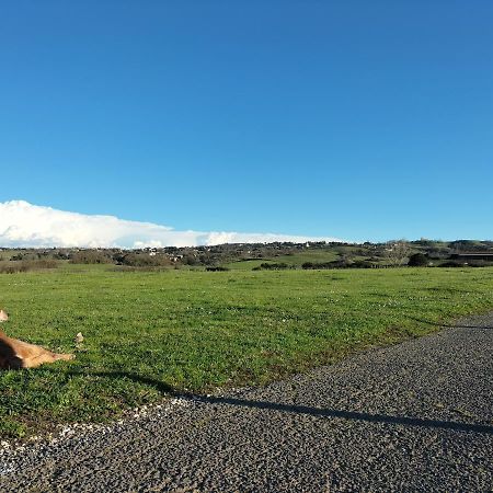 Rod Ranch Livestock - Appartamento Con Camino E Vista Piscina كامباغنانو دي روما المظهر الخارجي الصورة