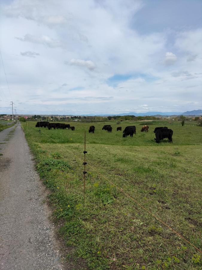 Rod Ranch Livestock - Appartamento Con Camino E Vista Piscina كامباغنانو دي روما المظهر الخارجي الصورة