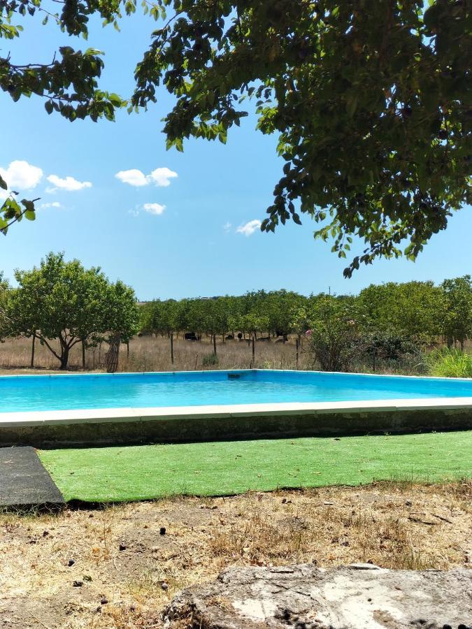 Rod Ranch Livestock - Appartamento Con Camino E Vista Piscina كامباغنانو دي روما المظهر الخارجي الصورة