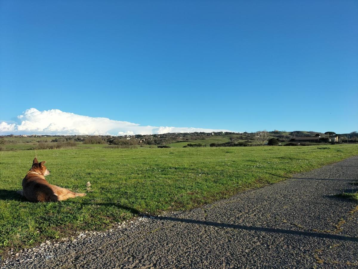 Rod Ranch Livestock - Appartamento Con Camino E Vista Piscina كامباغنانو دي روما المظهر الخارجي الصورة
